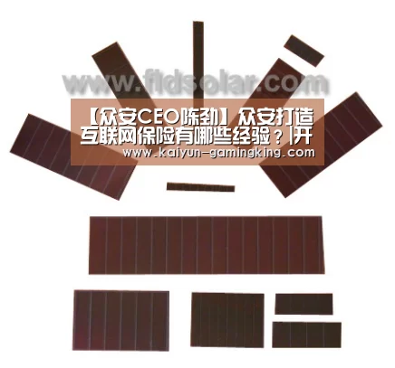 【众安CEO陈劲】众安打造互联网保险有哪些经验?|开云赛事(图2) 开云篮球