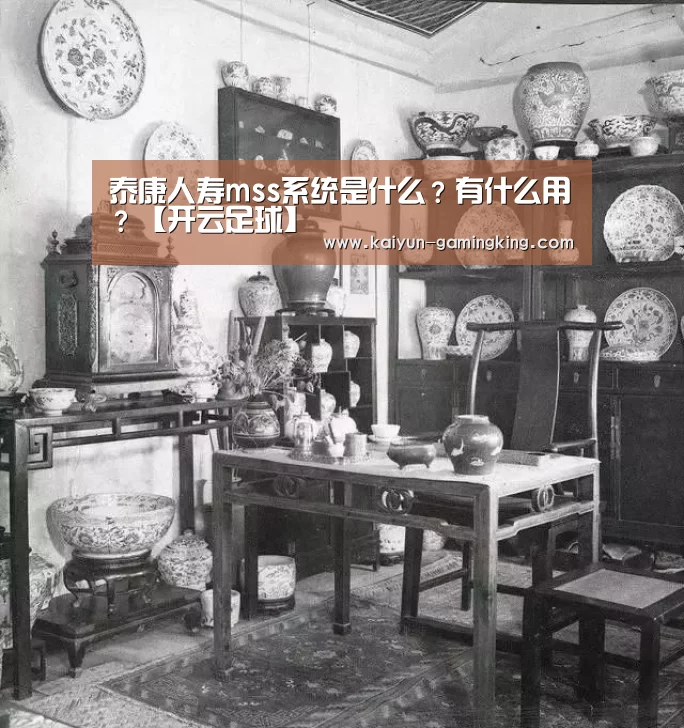 泰康人寿mss系统是什么?有什么用?【开云足球】(图2) 开云赛事