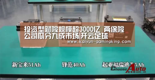 开云篮球